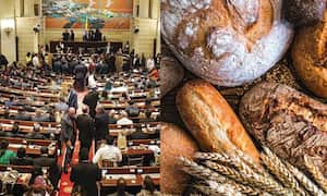 Congreso de la República - Pan