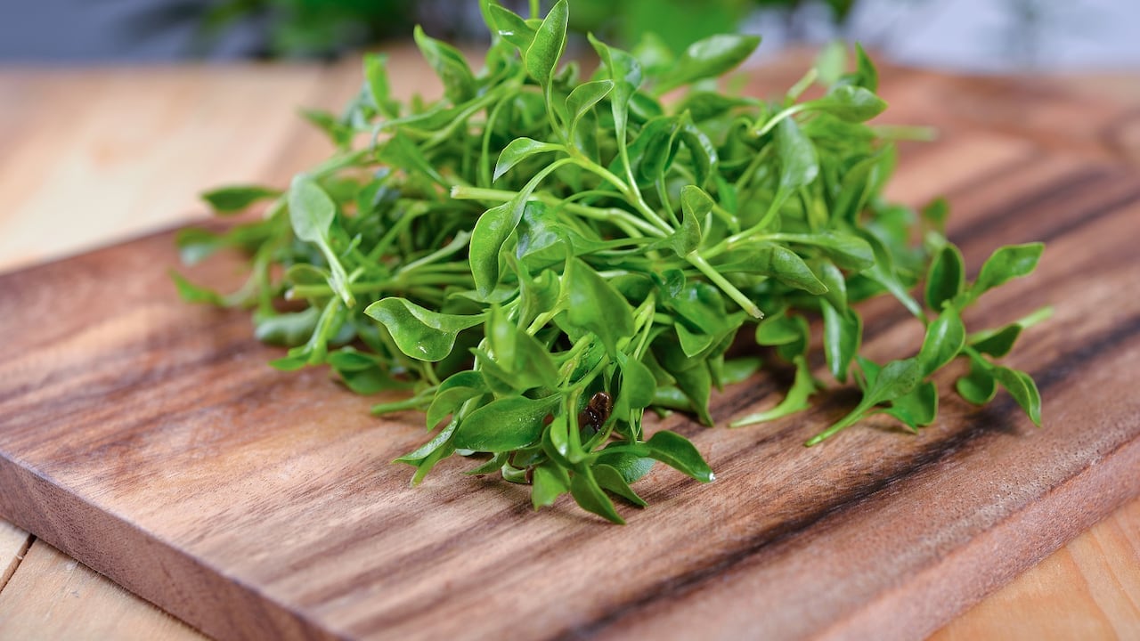 El berro es una planta más conocida como ingrediente en ensaladas y salsas que por sus efectos terapéuticos.