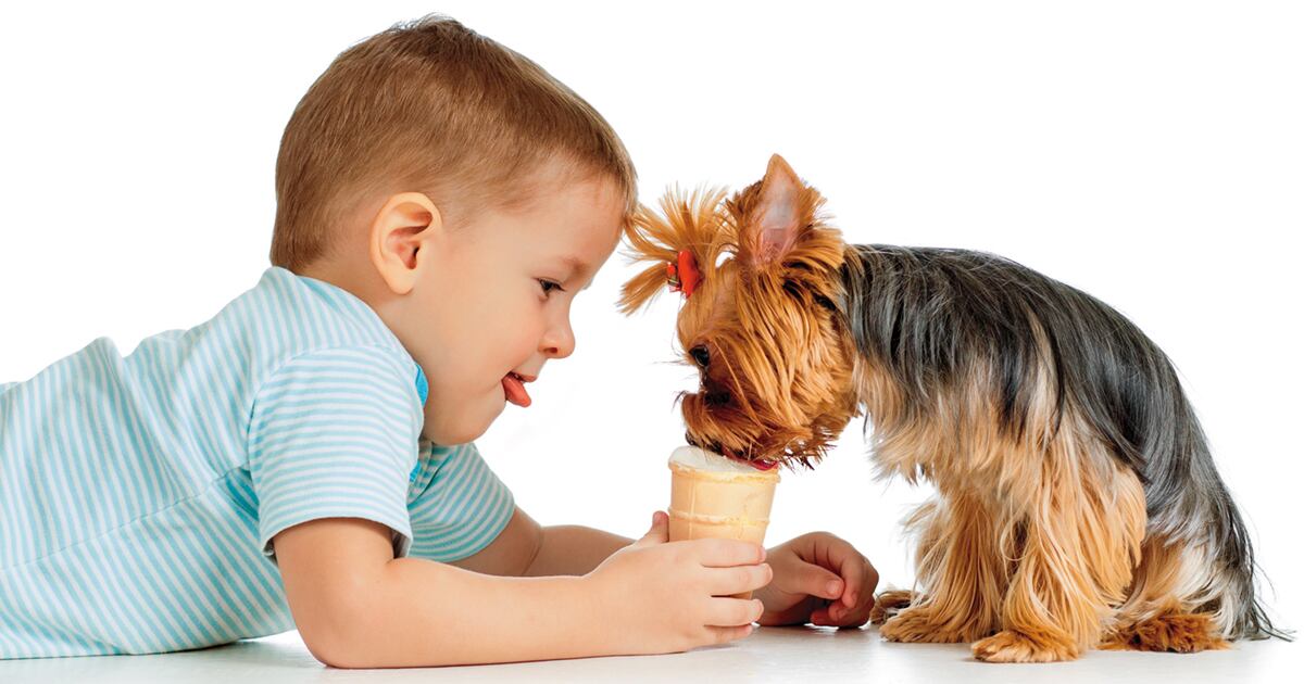 Se calcula que en seis de cada diez hogares bogotanos hay mascotas. 