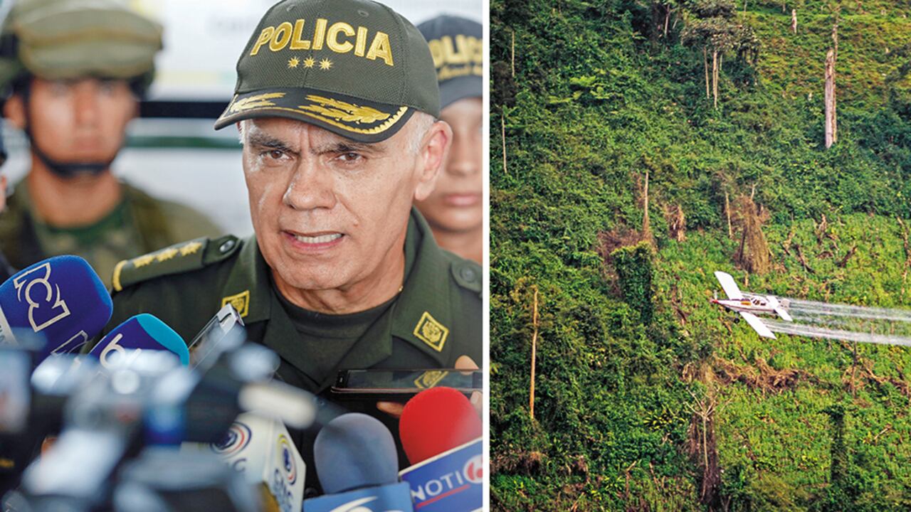 Debido a la suspensión de las fumigaciones aéreas, los cultivos de coca crecieron en el país y llegaron a las 200.000 hectáreas.