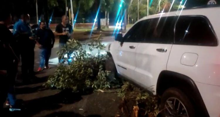 La camioneta se subió a un andén y se llevó varios árboles pequeños.