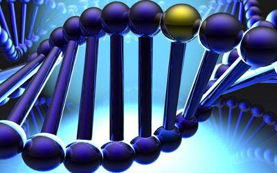 La microglía cuenta con material genético. 