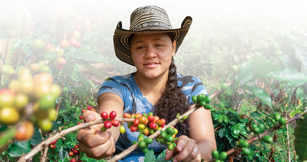 Productos orgánicos hacen parte de las dietas y hábitos que mejoran la salud.