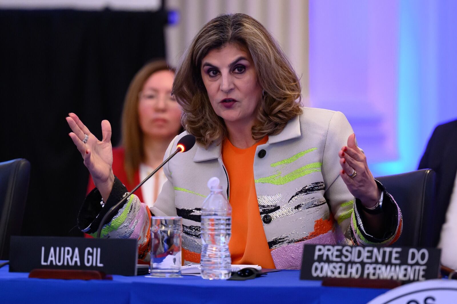 Secretaria adjunta de la OEA, Laura Gil.