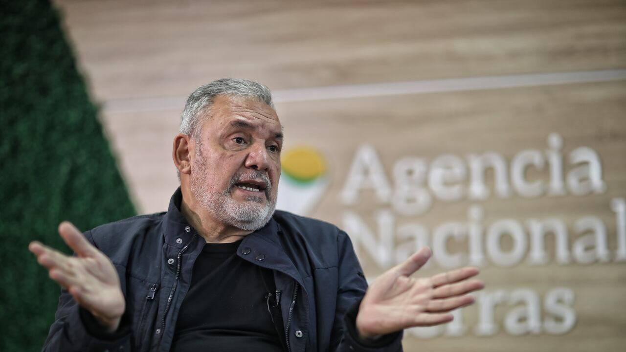 Gerardo Vega Medina
Director de la Agencia Nacional de Tierras