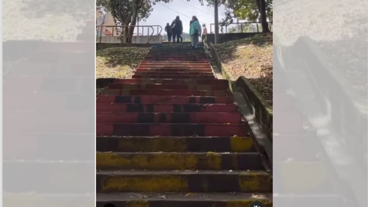 Un recorrido por la Perseverancia le permitirá observar su cultura y transformación