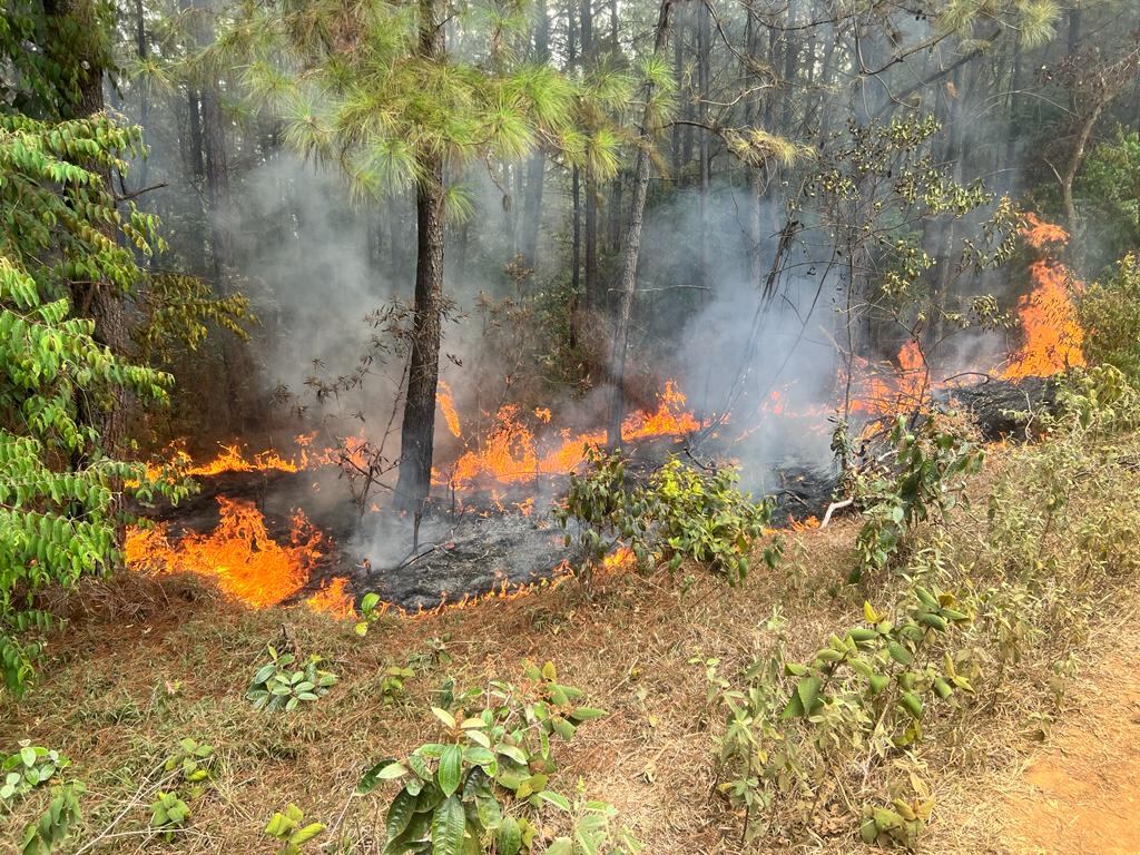 Terrible situación en el Cauca: presuntos invasores atacaron a población civil y generaron incendio forestal.