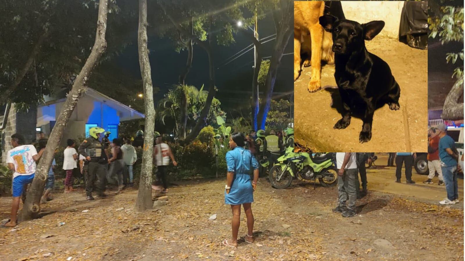 Otro canino resultó herido en el hecho