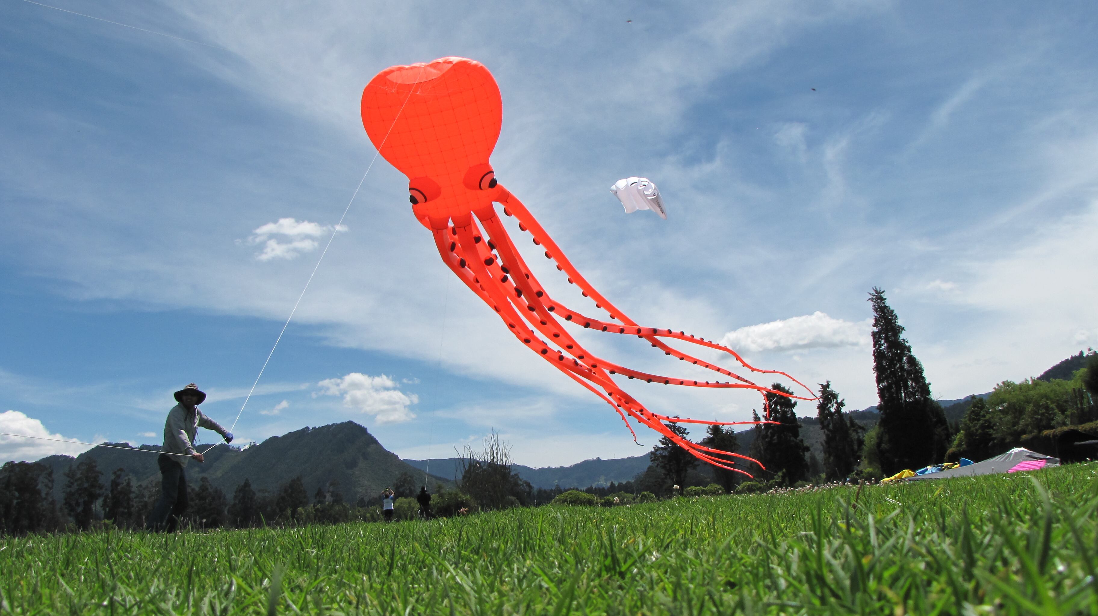 El pulpo de  65 metros es una de las cometas más grandes del país. El movimiento de sus tentáculos en el cielo y su proceso al elevarla es todo un espectáculo, pues se requiere del trabajo de todos los integrantes del grupo Kogui.
