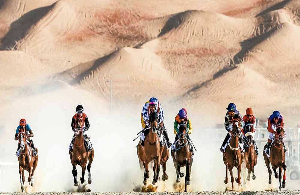 Caballos árabes purasangre compiten en el Desierto de Liwa durante la celebración del Moreeb Dune Festival 2019.