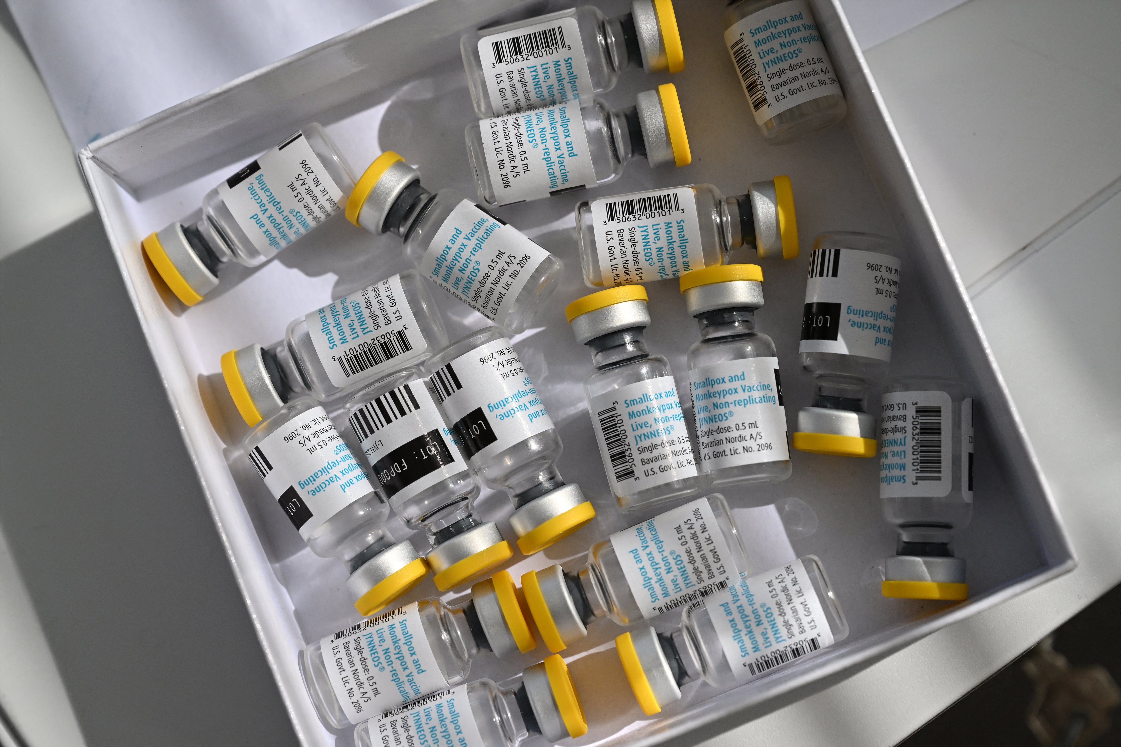 VIRUELA DEL MONO - VACUNA - VACUNACIÓN - INYECCIÓN - MEDICAMENTO