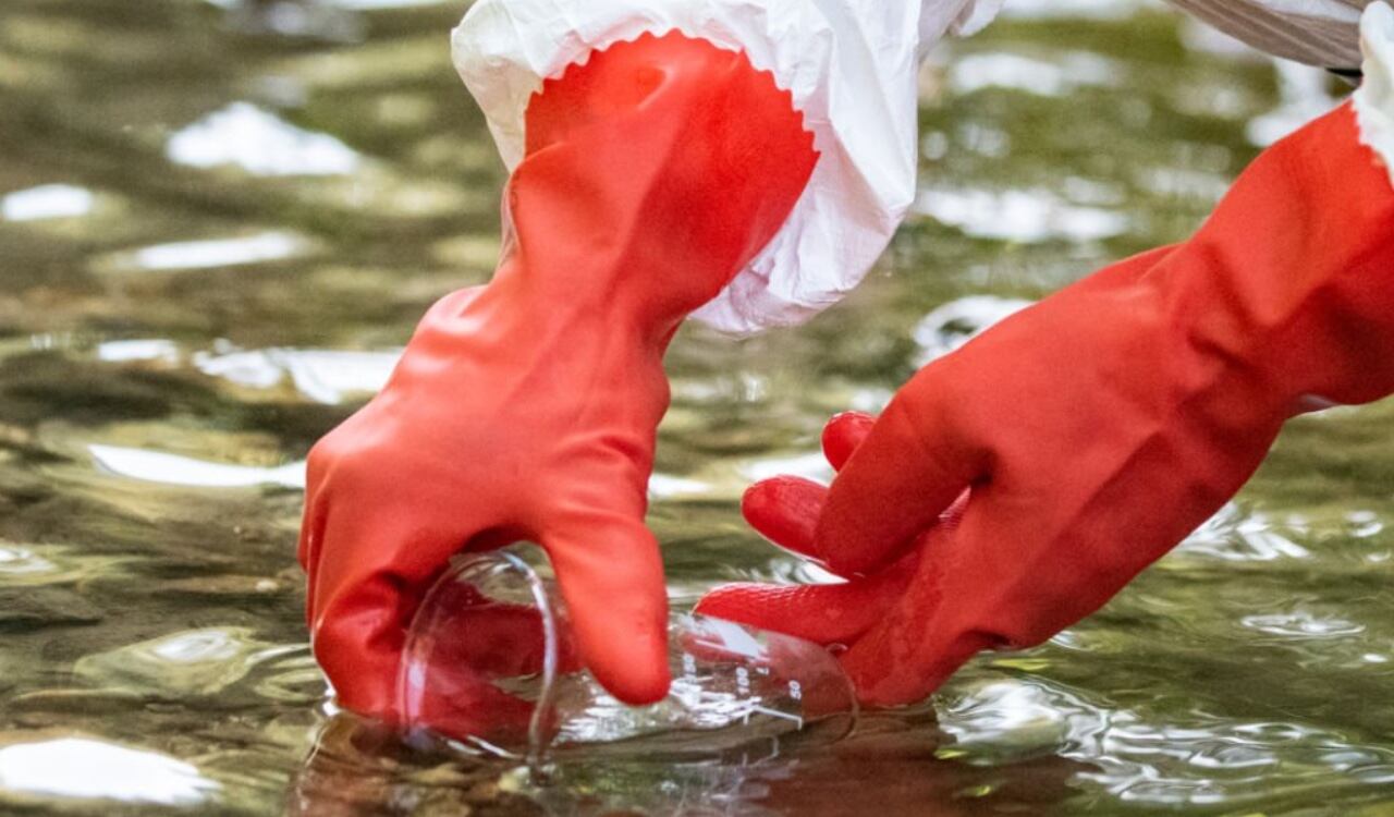 Procuraduría abre investigación a alcaldesa por contaminación de agua con mercurio en Santander