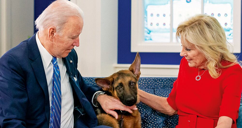 Commander, de dos años, es el segundo pastor alemán del presidente de Estados Unidos que deja la residencia en Washington por su carácter violento contra agentes del servicio secreto. 