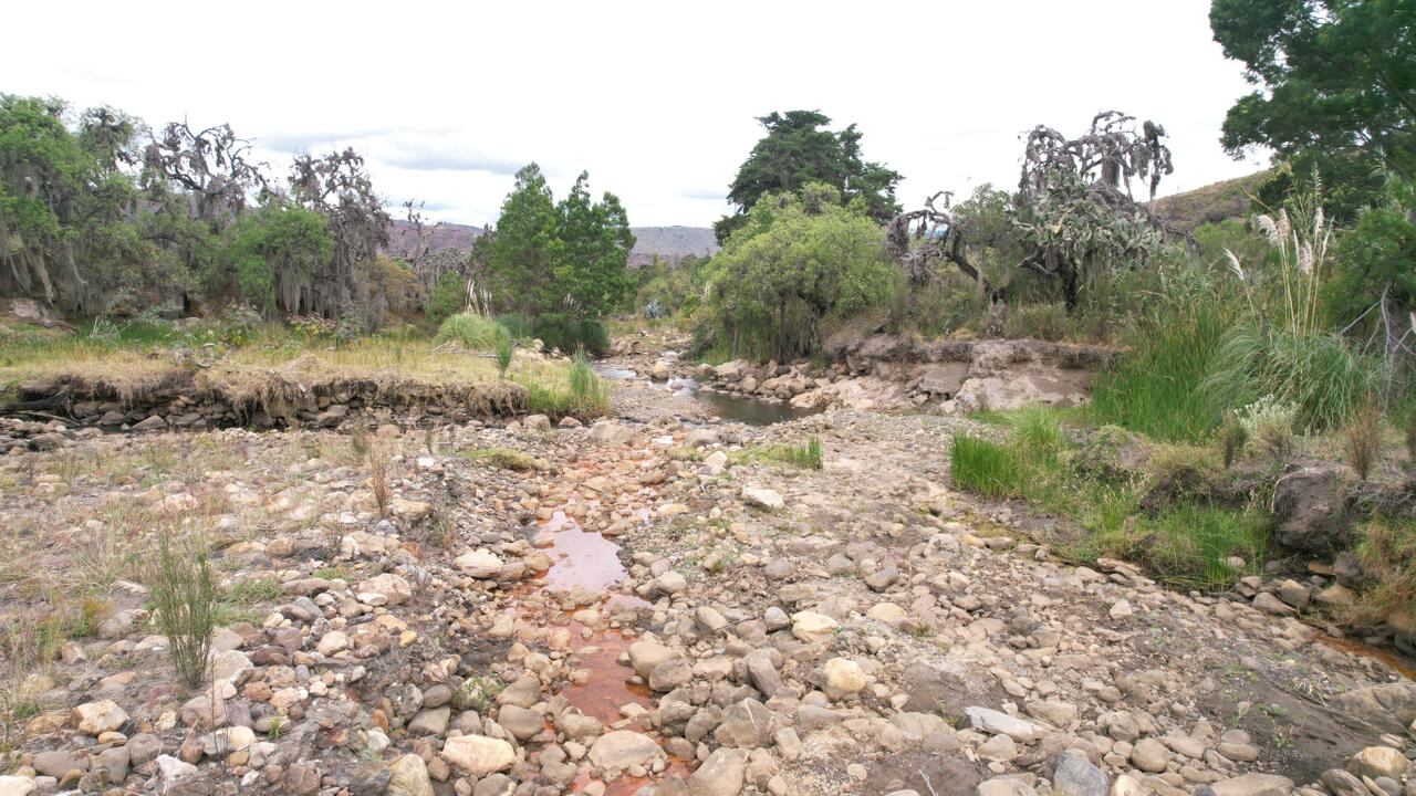 Las condiciones asociadas al fenómeno de El Niño ya se encuentran presentes en el océano Pacífico ecuatorial y se prevé que continúen fortaleciéndose durante el segundo semestre de 2026.