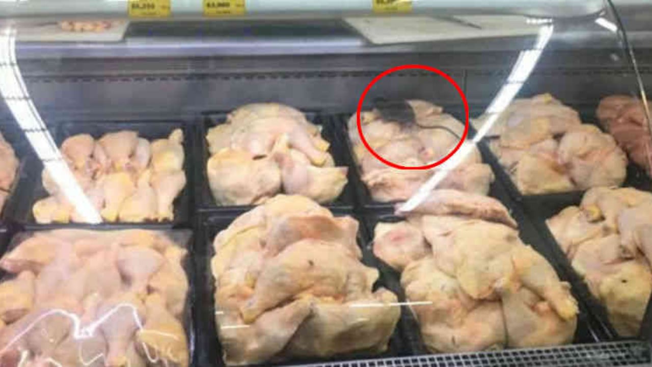 Esta es la fotografía de la polémica.