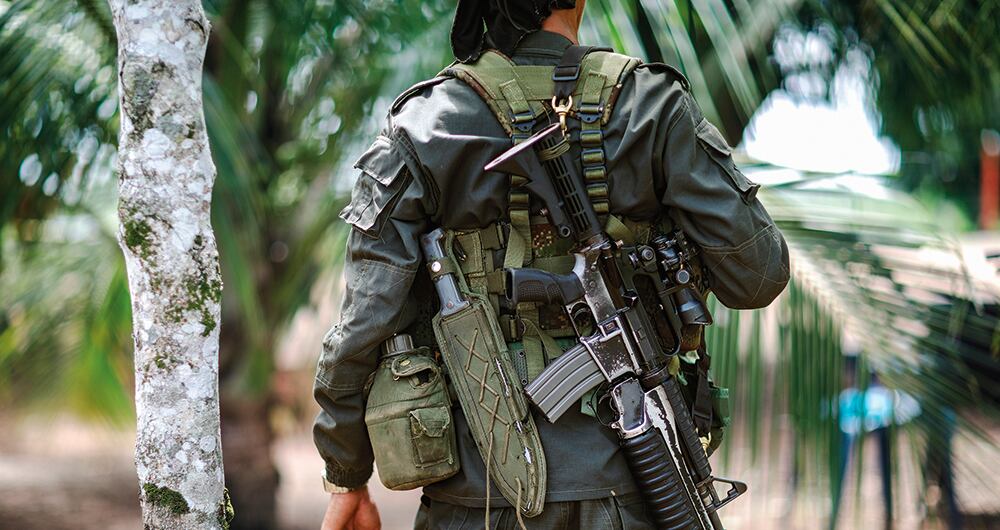 Las Farc están matando a tigrillos y la situación preocupa a nivel nacional. 