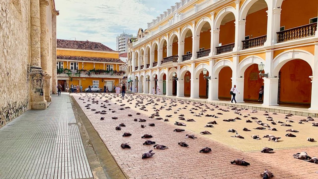 Centenar de palomas “muertas” al rededor de la Plaza de la Proclamación en Cartagena.