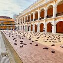 En la mañana de este jueves, circuló un vídeo ven redes sociales donde se mostraban un centenar de palomas “muertas” al rededor de la Plaza de la Proclamación en Cartagena.