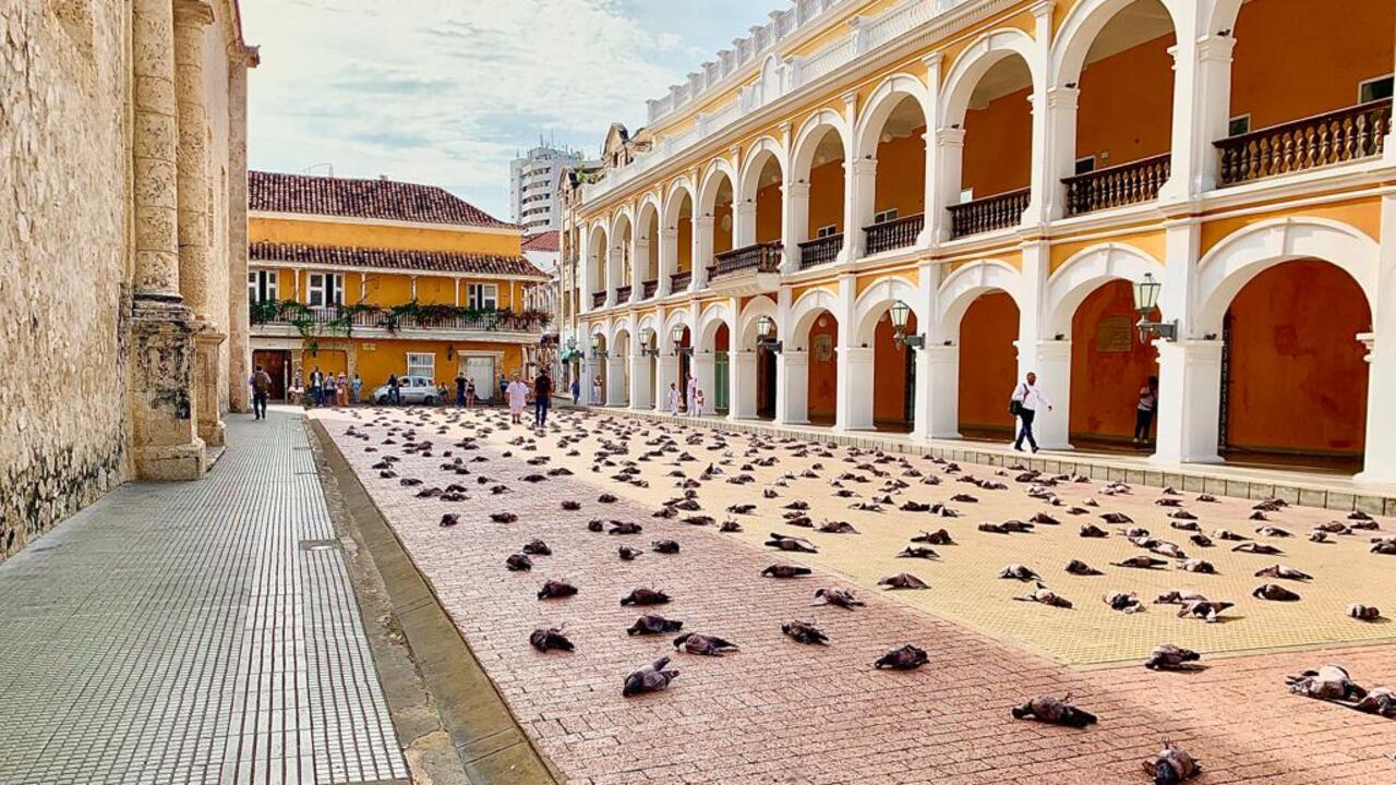En la mañana de este jueves, circuló un vídeo ven redes sociales donde se mostraban un centenar de palomas 'muertas' al rededor de la Plaza de la Proclamación en Cartagena.