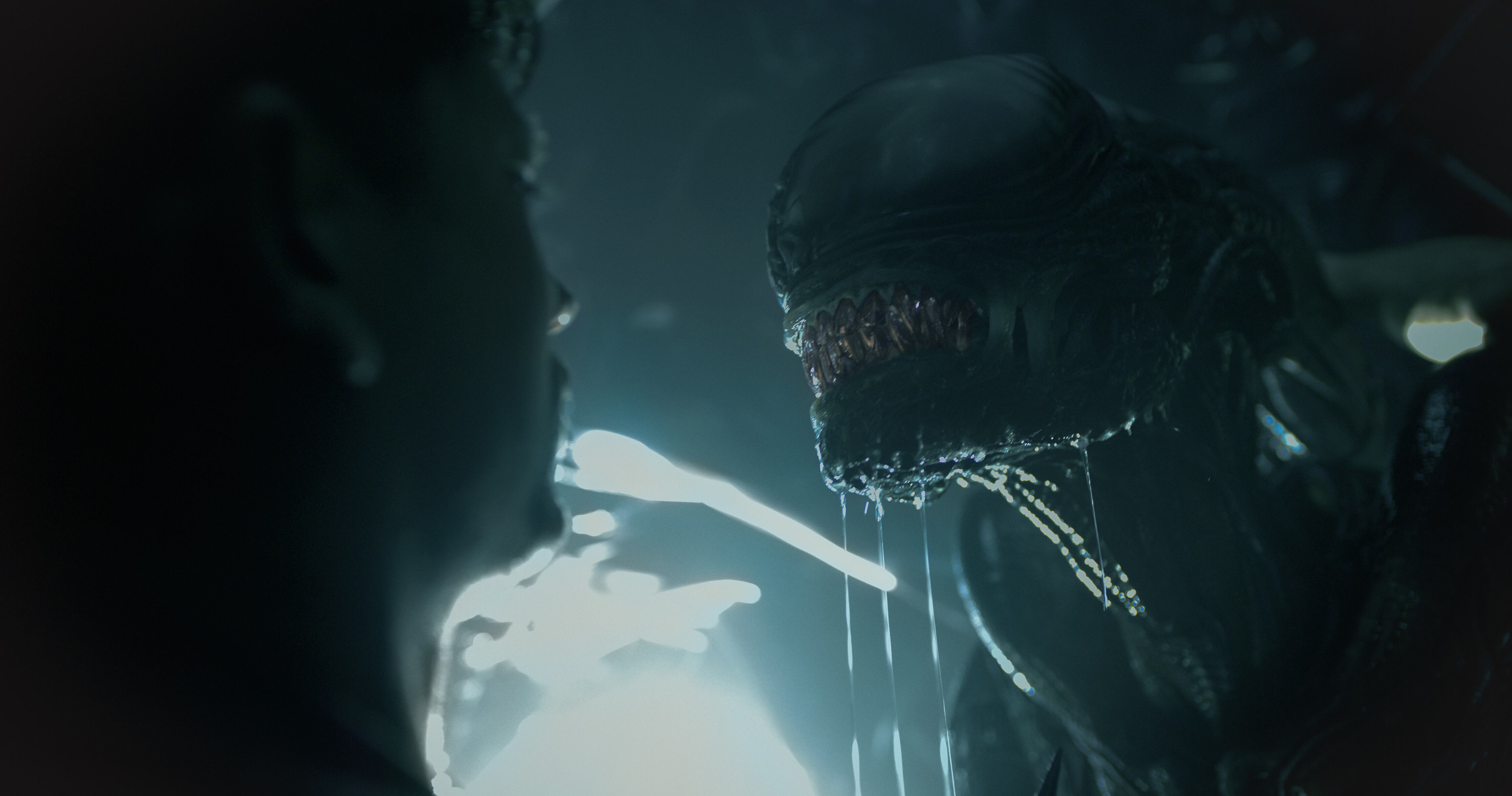 Xenomorph in 20th Century Studios' ALIEN: ROMULUS. Photo courtesy of 20th Century Studios. © 2024 20th Century Studios. All Rights Reserved.
