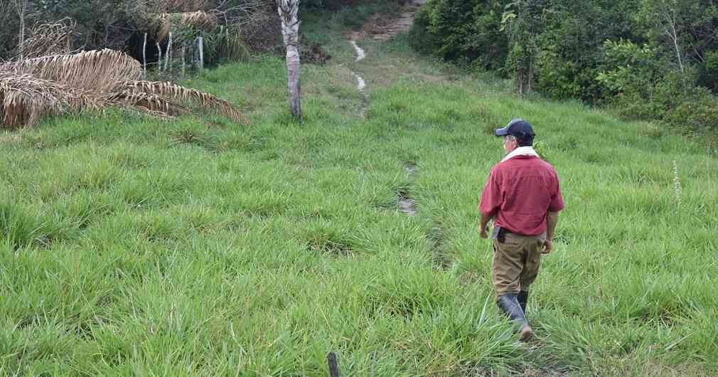 El Acuerdo de Paz prevé viabilizar la reincorporación a la vida civil de los excombatienes a través de proyectos productivos, acceso a la educación, subsidios y vivienda, entre otros. Foto:  Cortesía Parques Nacionales Naturales