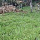 Los proyectos productivos que se propongan deben beneficiar a mínimo 65 familias. Foto: Cortesía Parques Nacionales Naturales