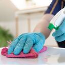 Limpieza de orín de gato.