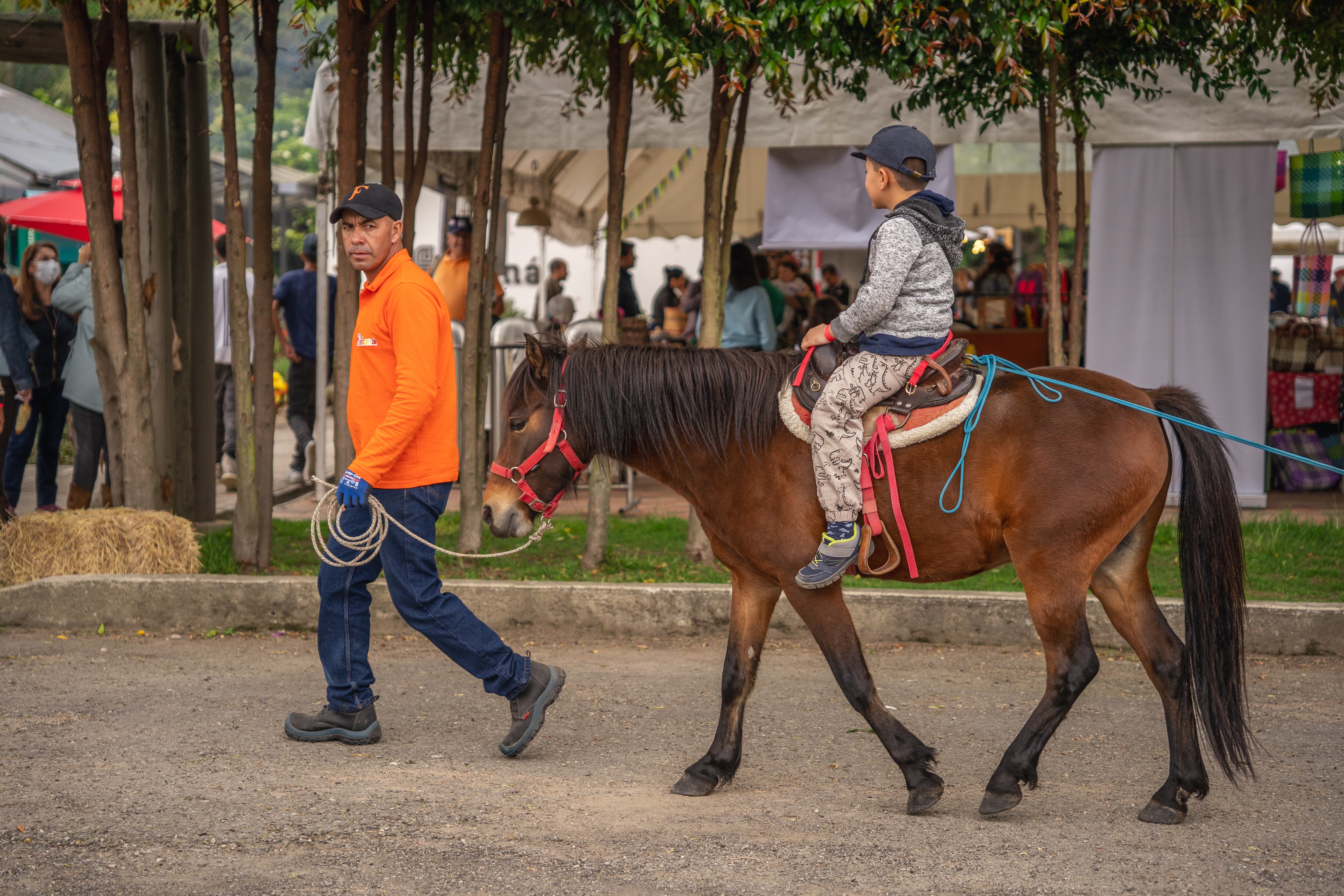 'Fagua Fest', así puede participar de los talleres de huerta, repostería y de la feria de emprendimientos; la entrada es gratis