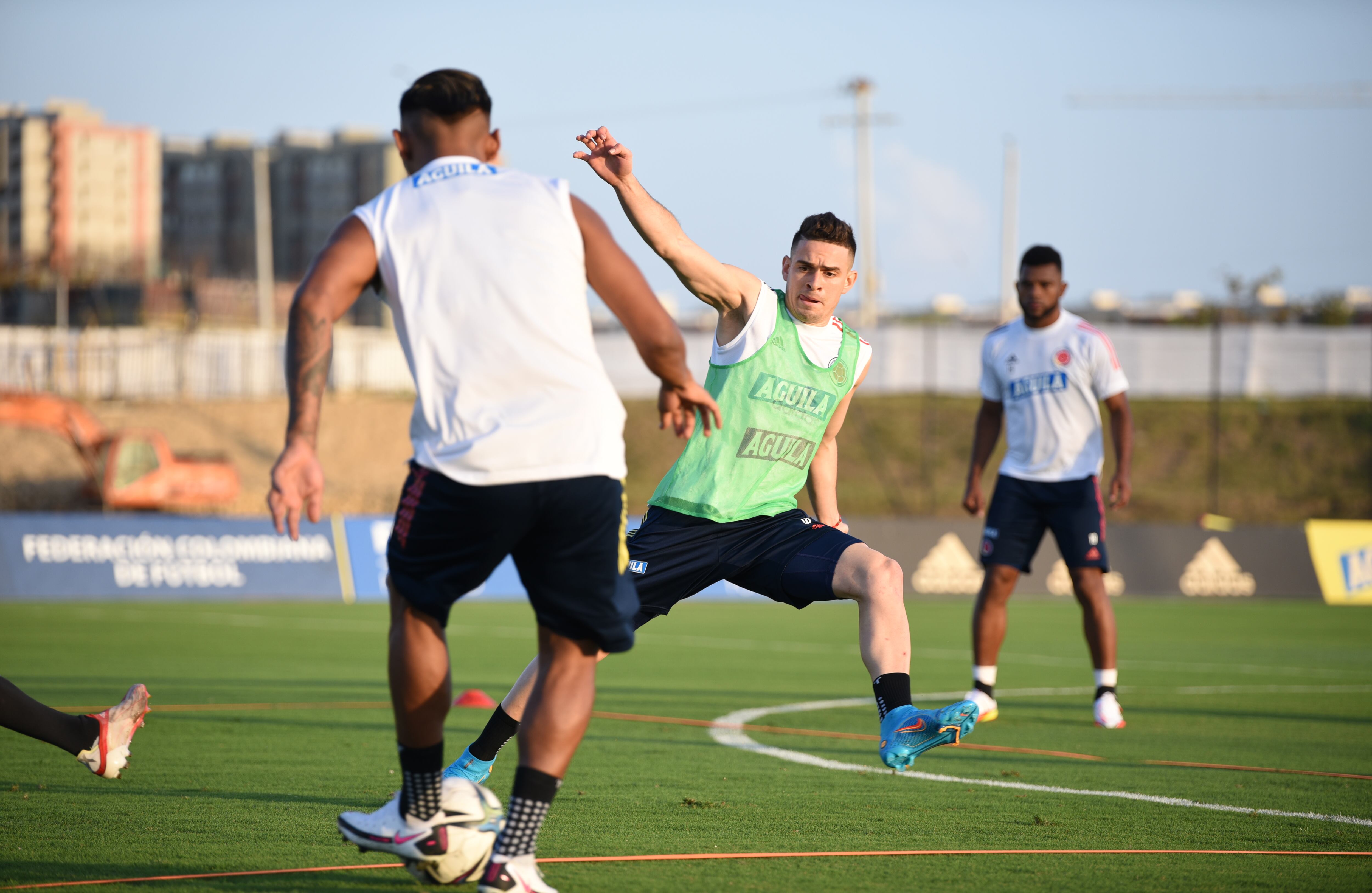 Selección Colombia. Rafael Santos Borré. FCF