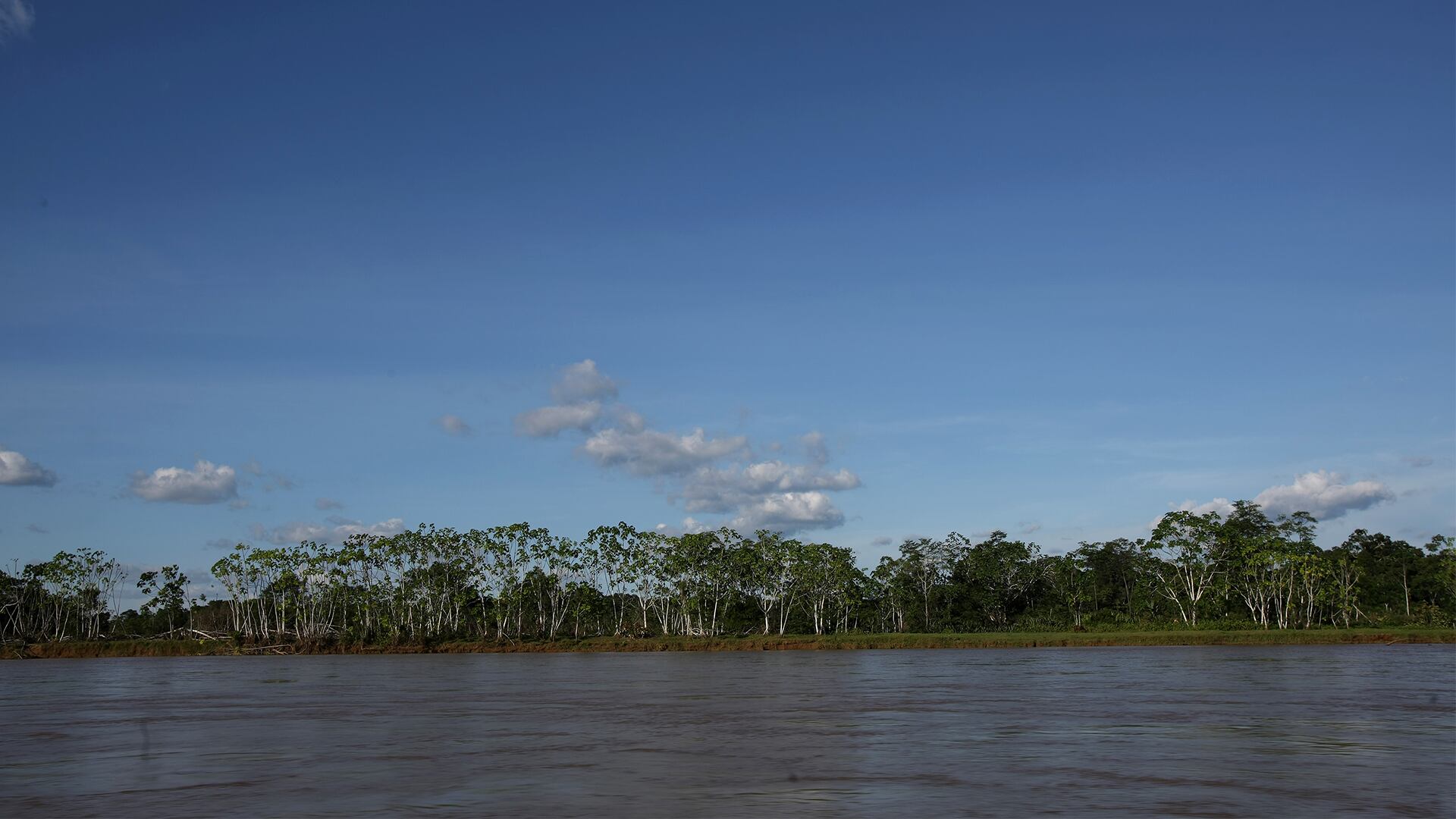 NO USAR, Especial Sostenibilidad, Banco Popular