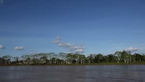 Con la iniciativa de sostenibilidad ‘Cuidemos más’, el Banco Popular busca reverdecer las zonas afectadas por la deforestación en el país con proyectos que generen valor al medio ambiente y a la sociedad.