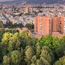 El trabajo realizado en torno a los temas de arborización y protección ambiental le permitió a la capital ser reconocida por la FAO. Foto: Jardín Botánico de Bogotá.
