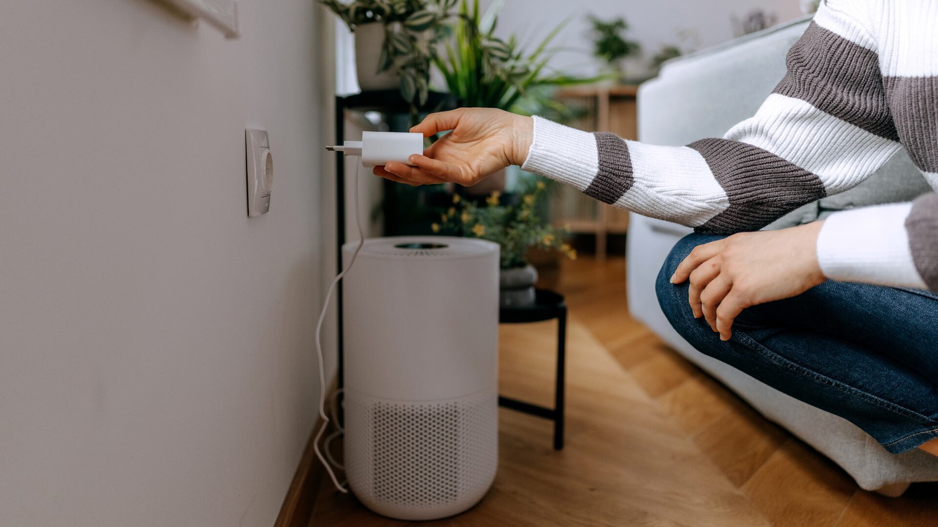 Desenchufar los electrodomésticos pueden disminuir el consumo de energía.