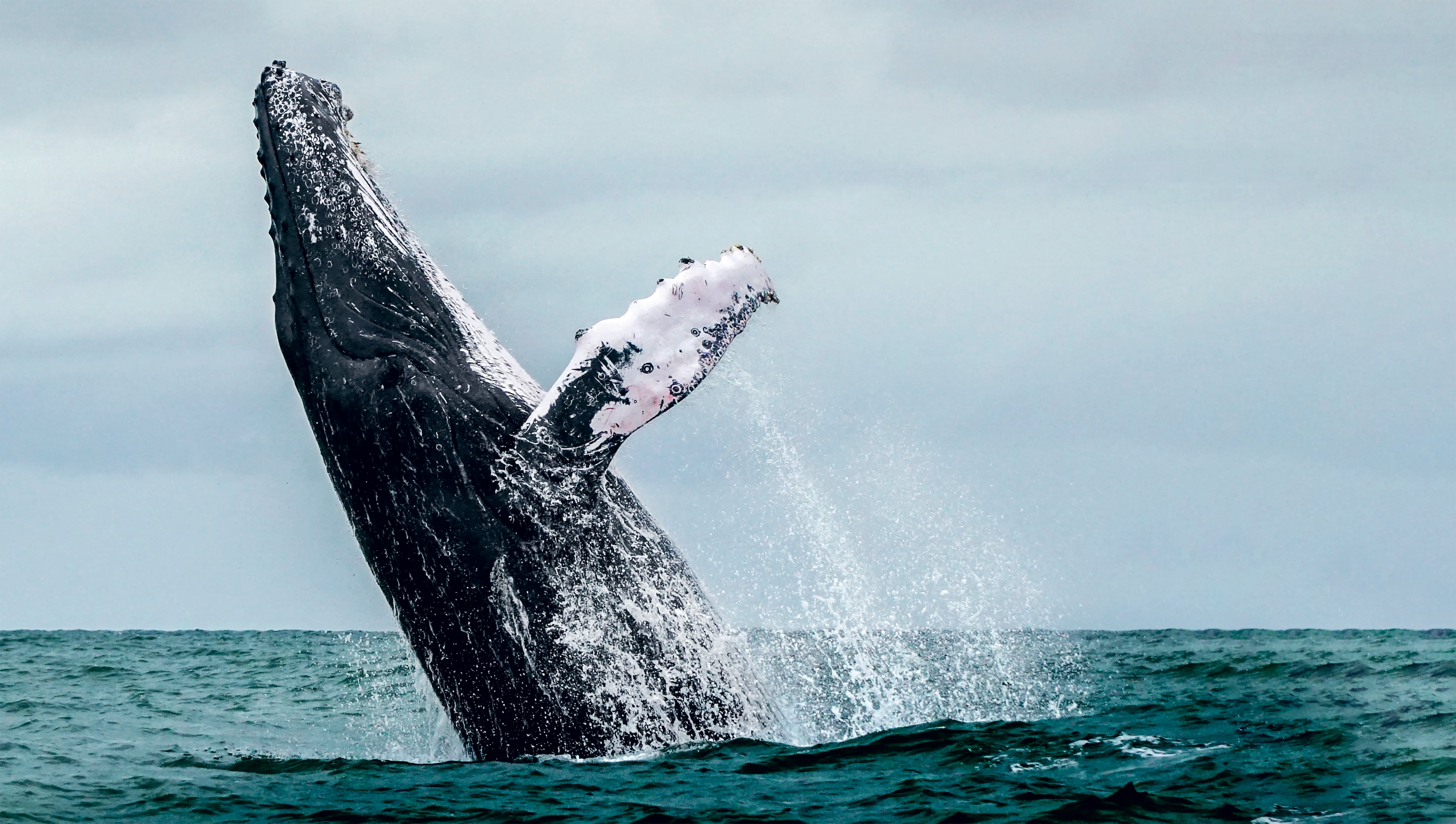 MARTHA URREGO  - Cumbre de Sostenibilidad - SEMANA Sostenible