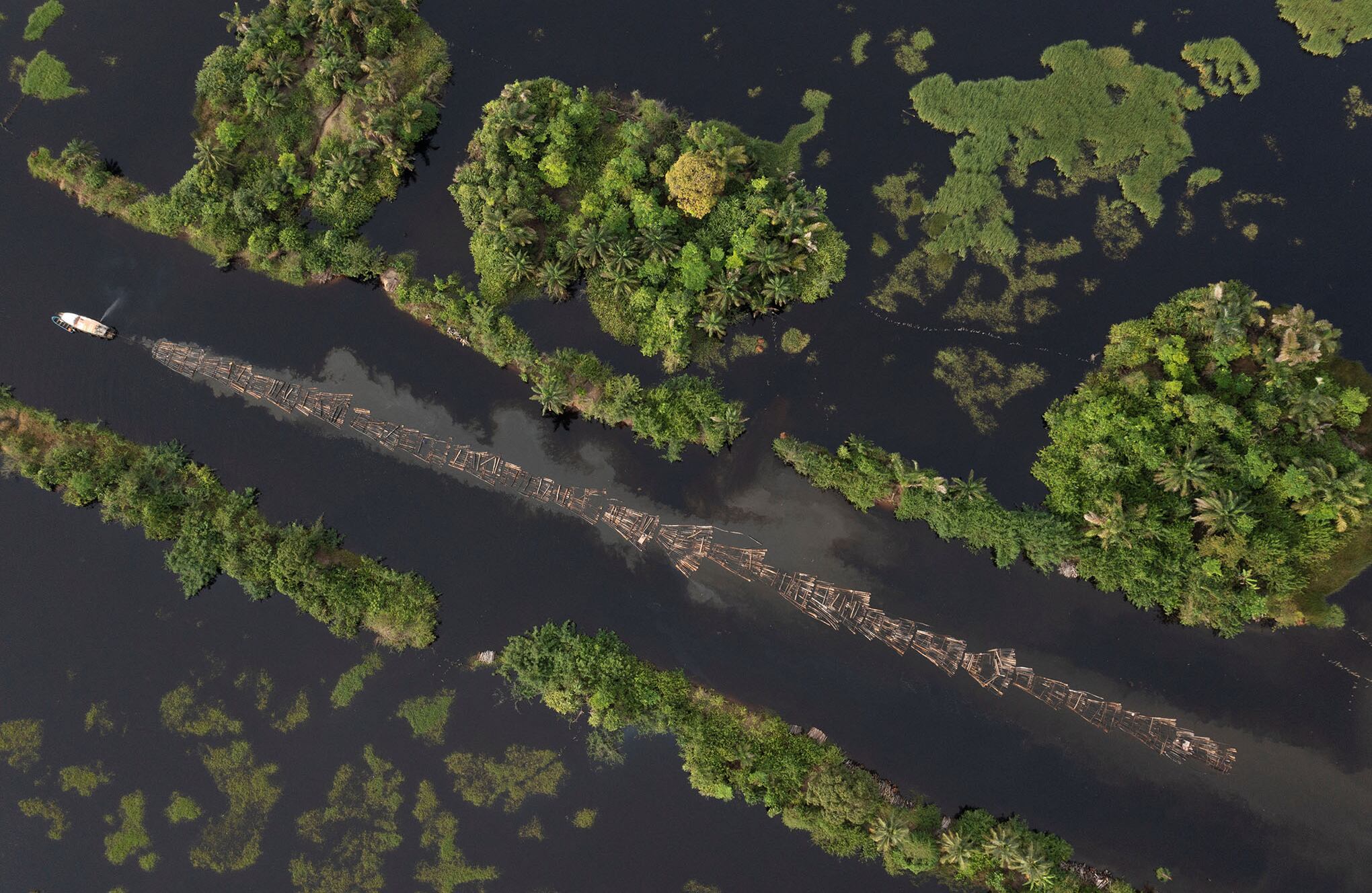 En imágenes : los bosques en extinción de Nigeria