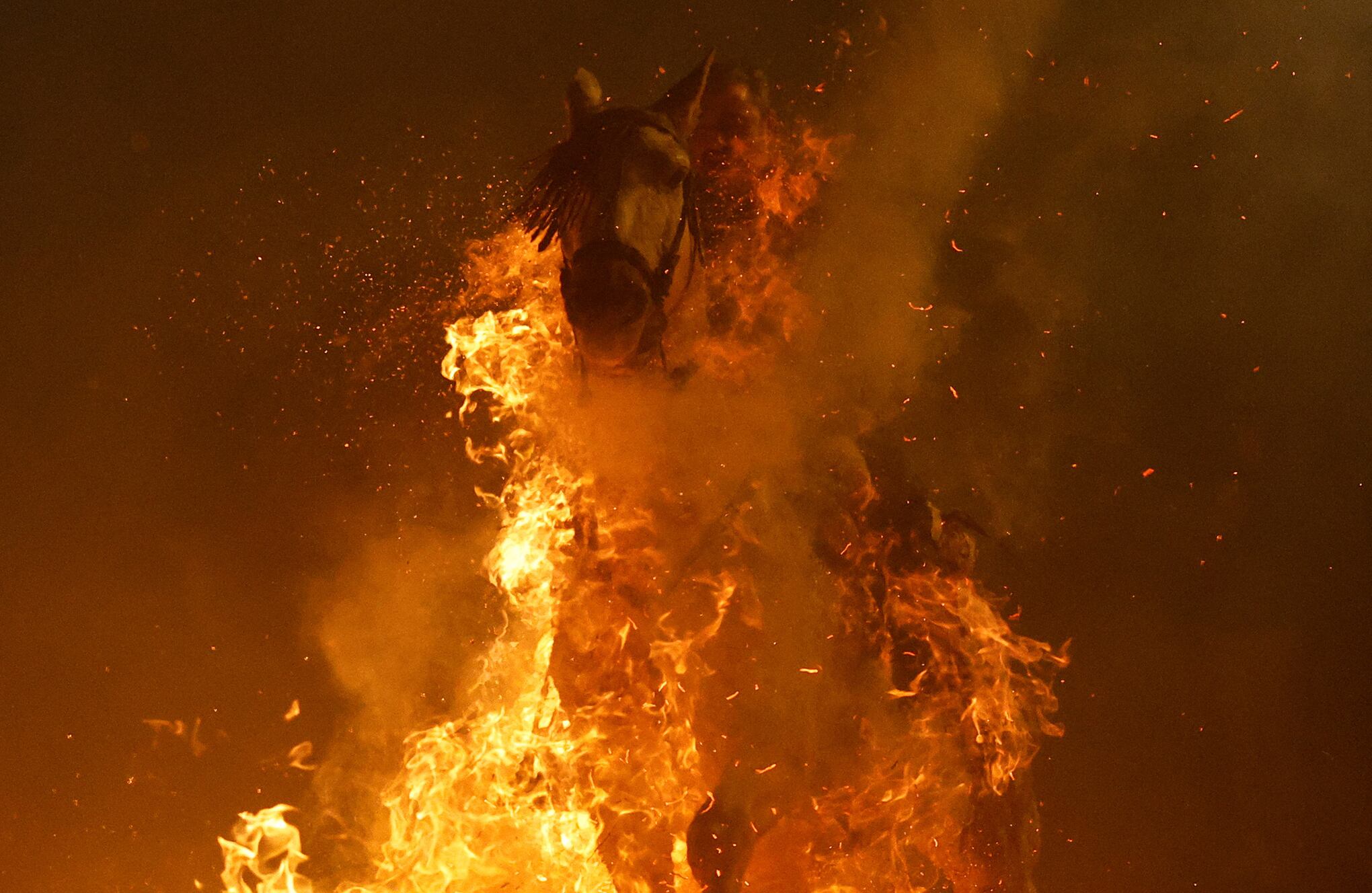 En imágenes : Un jinete atraviesa llamas durante la celebración anual de "Luminarias" en la víspera del día de San Antonio.