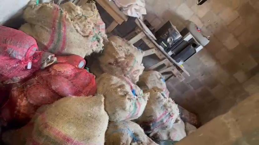 Animales silvestrtes que pensaban vender en cuaresma como alimento