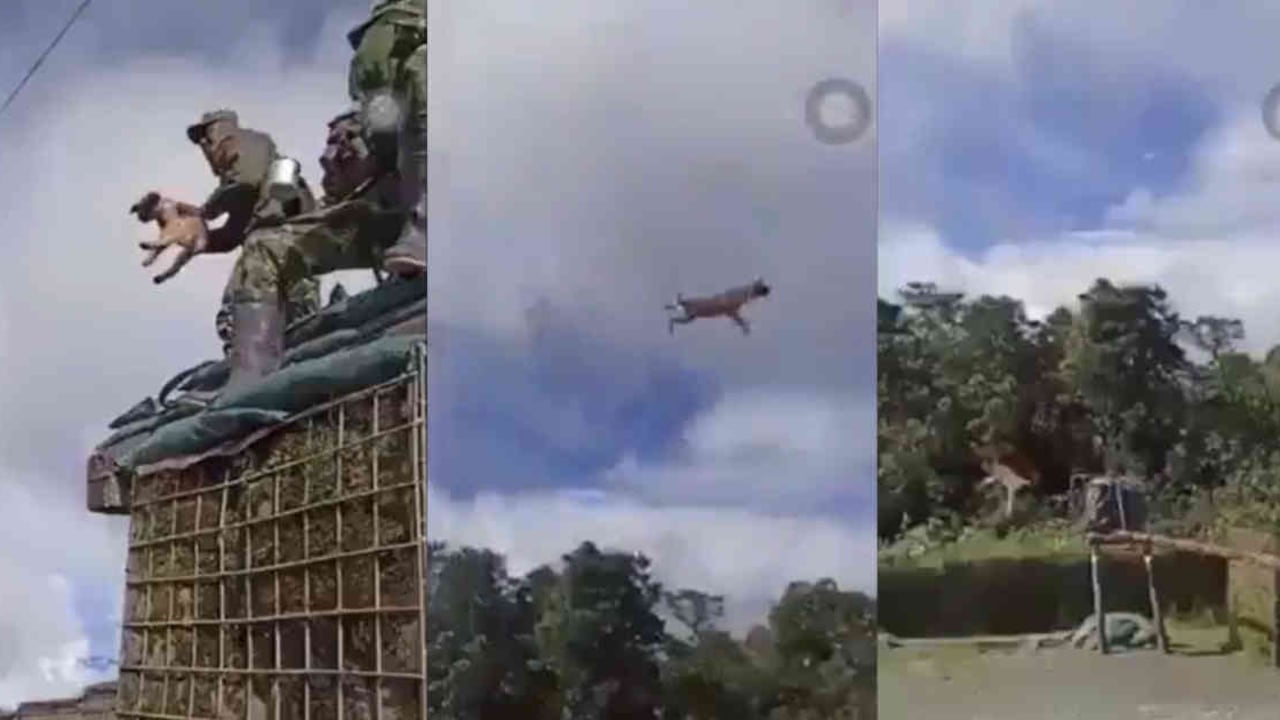 El hecho se registró en el departamento de Nariño. Imagen captada del video.