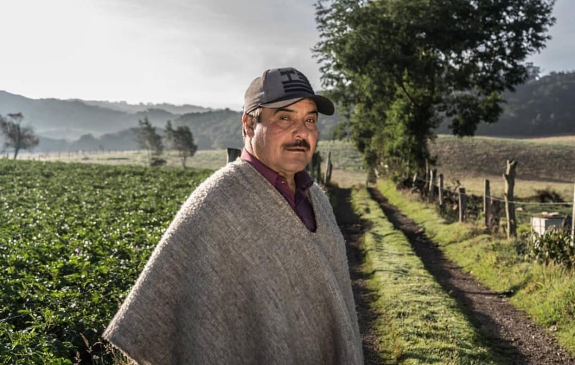 Pedro Briceño, fundador de Tesoros Nativos.