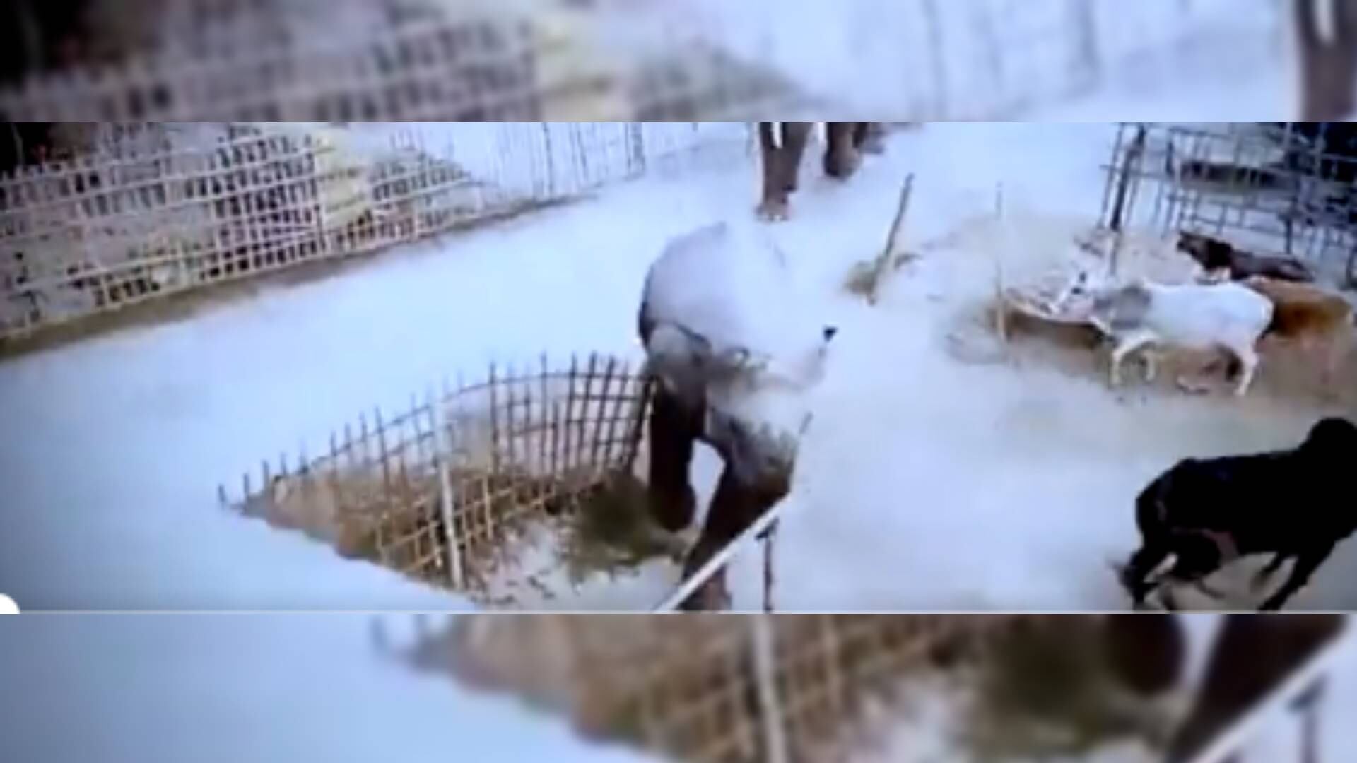 Imagen compartida por @BiharTakChannel