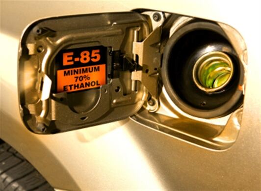 El espíritu de la medida es ampliar el mercado para los productores de biocombustibles y generar mayor inversión y más empleo rural, con el ingreso de nuevos empresarios al montaje de plantas.