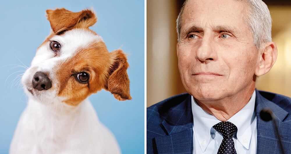 Anthony Fauci es médico especializado en inmunología y el principal responsable de la lucha contra el covid-19 en Estados Unidos.