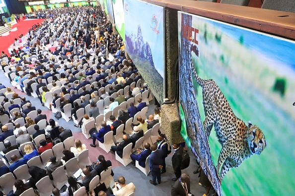 Esta primera Cumbre Africana sobre el Clima da inicio a los cuatro meses más intensos del año para las negociaciones internacionales sobre el clima, que seguirán con la cumbre de la ONU (COP28) en Dubái en noviembre y diciembre, donde se espera una batalla sobre el fin de los combustibles fósiles.