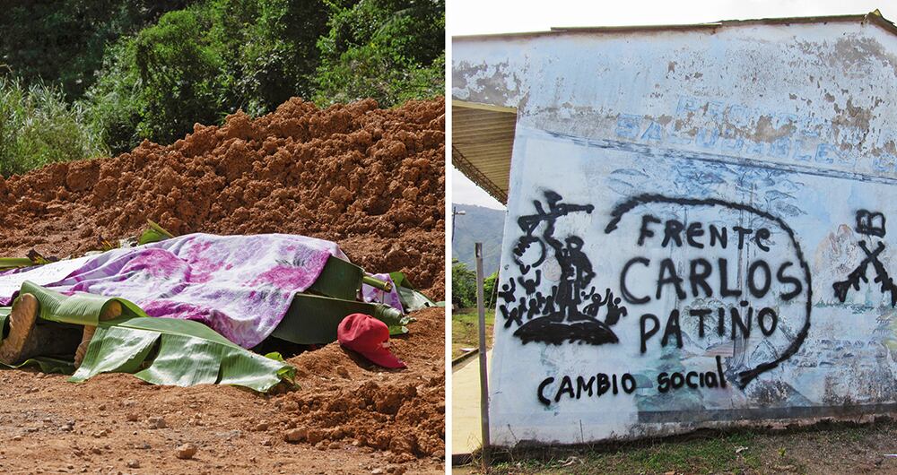 Bonanza cocalera en tiempos de pandemia