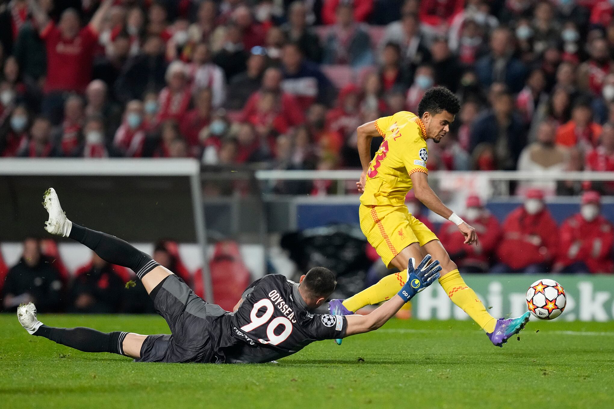 Fotos de la semana 8 abril