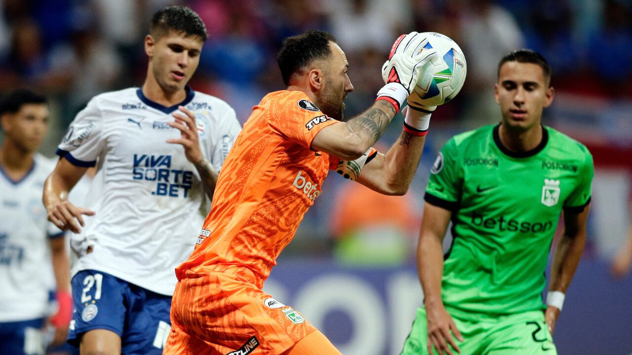 Atlético Nacional vs. Bahía por Copa Libertadores.