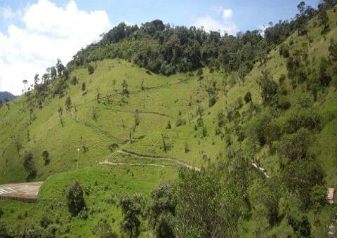 La Colosa ha sido uno de los proyectos mineros más controvertidos del país por encontrarse en una zona de alta riqueza ambiental.