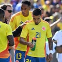 Néstor Lorenzo alarga su buen momento con la Selección Colombia