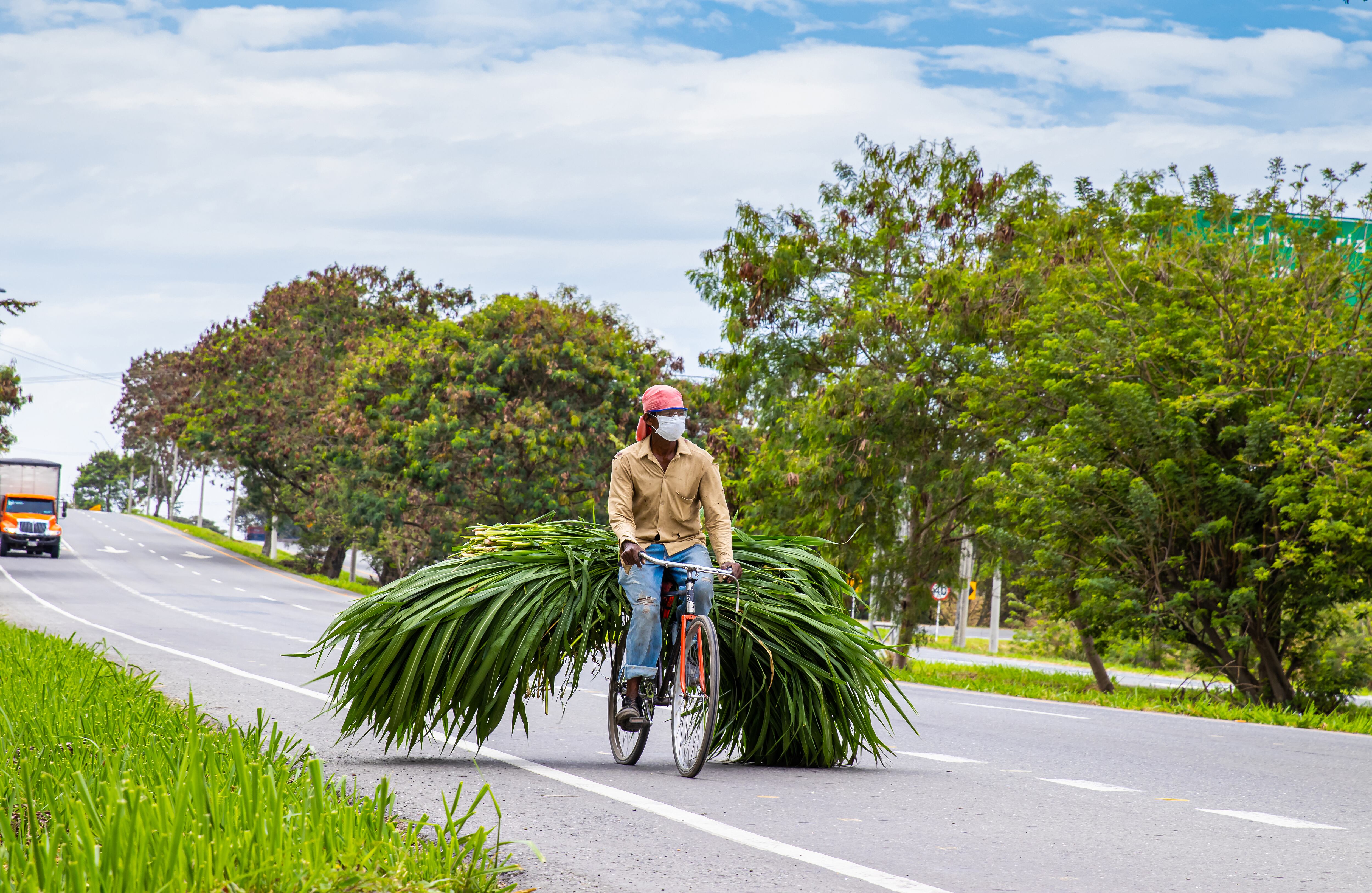 La bicicleta es un medio de transporte sostenible, sencillo, fiable, limpio y ecológico que contribuye a la gestión ambiental y beneficia la salud. Una de las características que lo hace masivo es su asequibilidad.