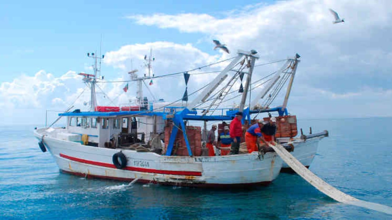 La flota de barcos camaroneros ha sido afectada por los altos precios de los insumos y la baja tecnología en el equipo.